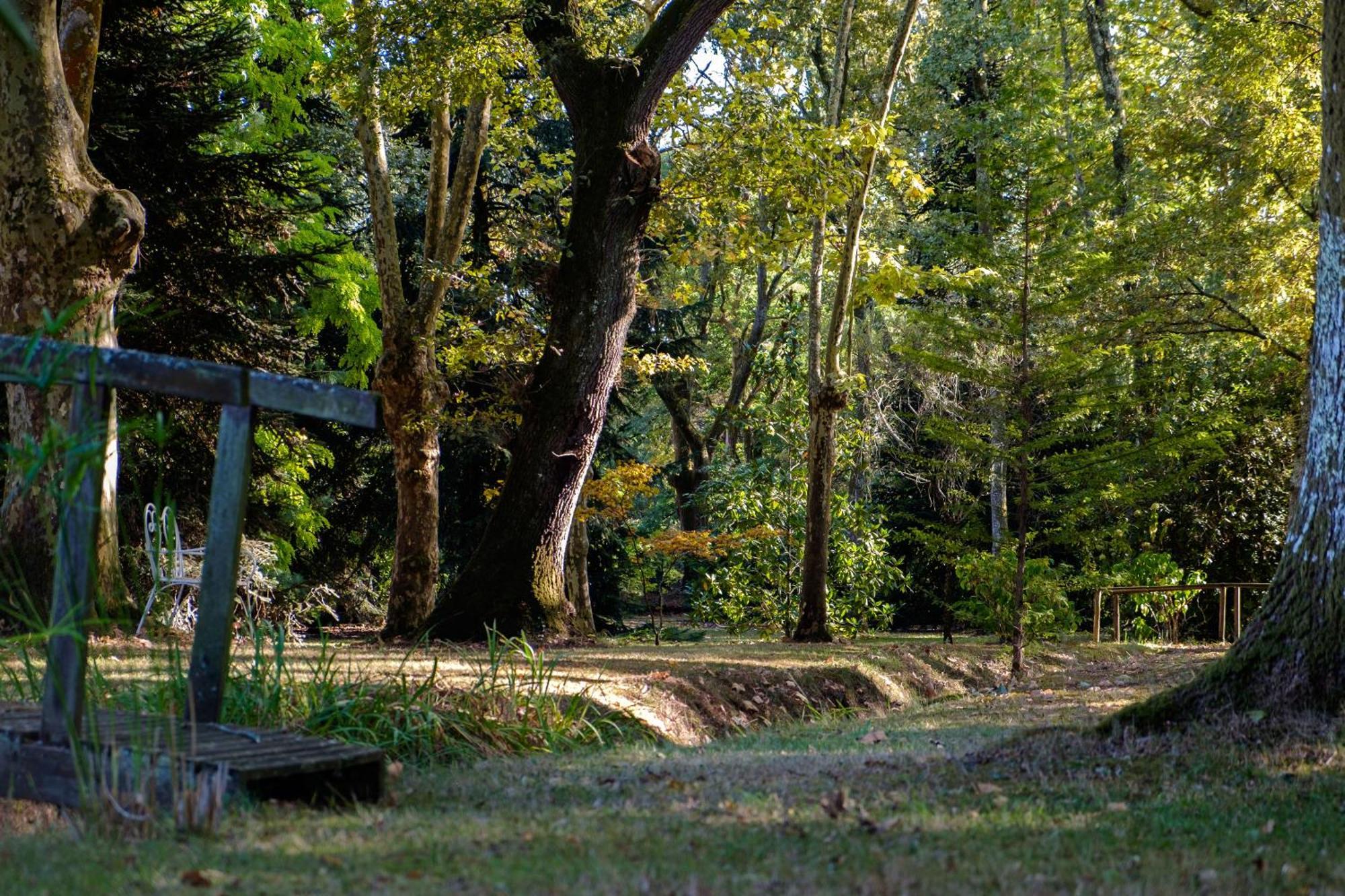 Parc De L'Aiguade Bed and Breakfast Saint-Paul-lès-Dax Exteriör bild
