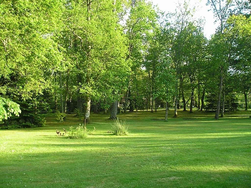 Parc De L'Aiguade Bed and Breakfast Saint-Paul-lès-Dax Rum bild